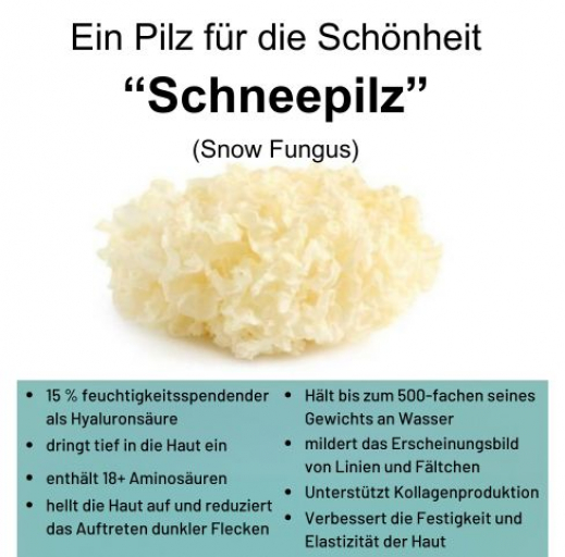 Schneepilz-Schoenheitspilz.jpg